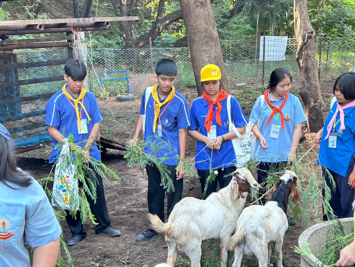 ภาพกิจกรรม 9